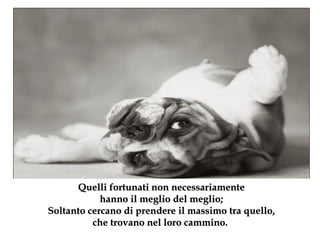 Quelli fortunati non necessariamente hanno il meglio del meglio ; Soltanto cercano di prendere il massimo tra quello, che trovano nel loro cammino.  