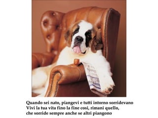 Quando sei nato, piangevi e tutti intorno sorridevano Vivi la tua vita fino la fine cosi, rimani quello, che sorride sempre anche se altri piangono 