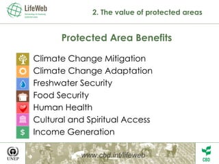 Protected Area Benefits Climate Change Mitigation Climate Change Adaptation F reshwater Security Food Security Human Health Cultural and Spiritual Access Income Generation 2. The value of protected areas www.cbd.int/lifeweb 