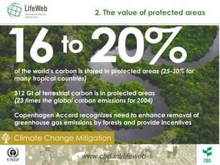 2. The value of protected areas www.cbd.int/lifeweb of the world’s carbon is stored in protected areas  (25-30% for many tropical countries)   312 Gt of terrestrial carbon is in protected areas  (23 times the global carbon emissions for 2004) Copenhagen Accord recognizes need to enhance removal of greenhouse gas emissions by forests and provide incentives Climate Change Mitigation 