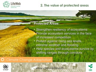 2. The value of protected areas Protected Areas: Strengthen resiliency of ecosystems  Provide ecosystem services in the face of increased competition Protect against rising sea levels, extreme weather and flooding  Help species and ecosystems survive by shifting ranges through corridors www.cbd.int/lifeweb Climate Change Adaptation 