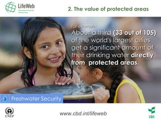 2. The value of protected areas www.cbd.int/lifeweb For example: About a third  (33 out of 105)  of the world's largest cities get a significant amount of their drinking water  directly from  protected areas. F reshwater Security 