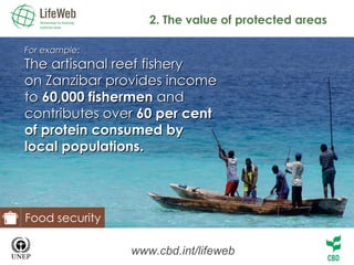 2. The value of protected areas www.cbd.int/lifeweb For example: The artisanal reef fishery  on Zanzibar provides income to  60,000 fishermen  and contributes over  60 per cent of protein consumed by local populations. Food security 