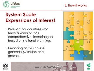 System Scale  Expressions of Interest  Relevant for countries who have a vision of their comprehensive financial gap based on national planning. Financing at this scale is generally $2 million and greater. www.cbd.int/lifeweb 3. How it works 