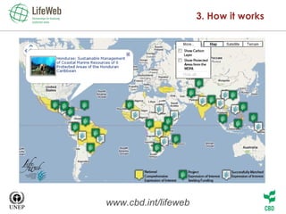 3. How it works www.cbd.int/lifeweb 
