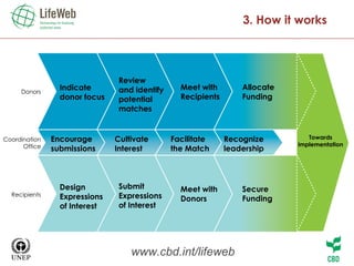 3. How it works www.cbd.int/lifeweb Towards implementation Donors Coordination Office Recipients Indicate donor focus Encourage submissions  Design Expressions of Interest Cultivate Interest Review  and identify potential matches Submit Expressions of Interest Facilitate  the Match Meet with Recipients Meet with Donors Recognize leadership Allocate Funding Secure Funding 