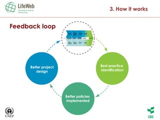 Feedback loop 3. How it works B est practice  identification Better policies  implemented Better project design 