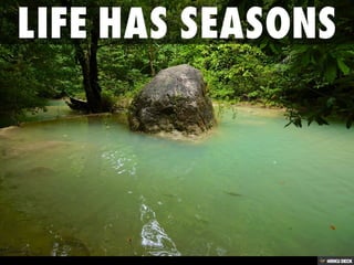 Life With Limits: Ethics and Biotechnology