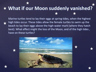 Marine turtles tend to lay their eggs at spring tides, when the highest
high tides occur. These tides allow the female turtles to swim up the
beach to lay their eggs above the high-water mark (where they hatch
best). What effect might the loss of the Moon, and of the high tides ,
have on these turtles?
What if our Moon suddenly vanished?
 
