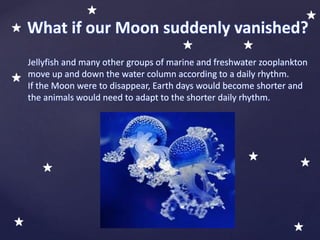 Jellyfish and many other groups of marine and freshwater zooplankton
move up and down the water column according to a daily rhythm.
If the Moon were to disappear, Earth days would become shorter and
the animals would need to adapt to the shorter daily rhythm.
What if our Moon suddenly vanished?
 