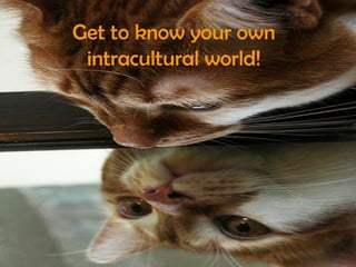 Get to know your own intracultural world!