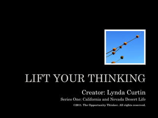 LIFT YOUR THINKINGLIFT YOUR THINKING
Creator: Lynda Curtin
Series One: California and Nevada Desert Life
©2011. The Opportunity Thinker. All rights reserved.
 