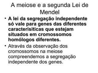 A meiose e a segunda Lei de
Mendel
• A lei da segregação independente
só vale para genes das diferentes
caracterísiticas que estejam
situados em cromossomos
homólogos diferentes.
• Através da observação dos
cromossomos na meiose
compreendemos a segregação
independente dos genes.

 