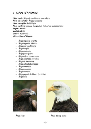 1.TIPUS D’ANIMAL:

Nom comú: Àliga de cap blanc o pescadora
Nom en castellà: Àliga pescadora
Nom en anglès: Bald Eagle
Nom científic (gènere i espècie): Haliaetus leucocephalus
Regne: Animal
Vertebrat: Si
Classe: Au (Ocell)
Altres tipus d’àligues:

   •   Àliga imperial oriental
   •   Àliga imperial ibèrica
   •   Àliga morena filipina
   •   Àliga harpía
   •   Àliga coronada
   •   Àliga perdiguera
   •   Àliga culebrera europea
   •   Àliga coronada solitària
   •   Àliga de Verreaux
   •   Àliga calzada barreada
   •   Àliga crestada
   •   Àliga escudada
   •   Àliga daurada
   •   Àliga gegant de Haast (extinta)
   •   Àliga reial




   Àliga reial                            Àliga de cap blanc


                                    -2-
 
