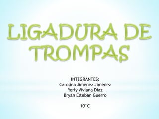 INTEGRANTES: 
Carolina Jimenez Jiménez 
Yerly Viviana Diaz 
Bryan Esteban Guerro 
10°C 
 