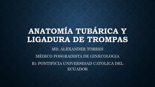 ANATOMÍA TUBÁRICA Y
LIGADURA DE TROMPAS
MD. ALEXANDER TORRES
MÉDICO POSGRADISTA DE GINECOLOGIA
R1 PONTIFICIA UNIVERSIDAD CATOLICA DEL
ECUADOR
 