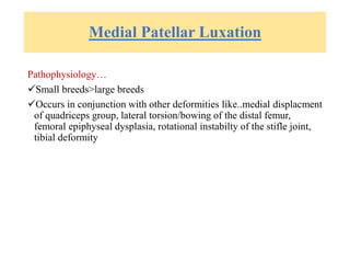 Medial Patellar Luxation
Pathophysiology…
Small breeds>large breeds
Occurs in conjunction with other deformities like..medial displacment
of quadriceps group, lateral torsion/bowing of the distal femur,
femoral epiphyseal dysplasia, rotational instabilty of the stifle joint,
tibial deformity
 