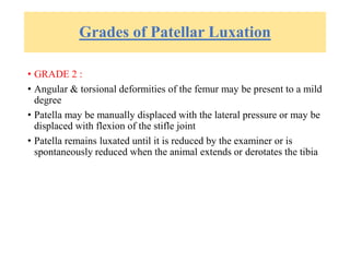 Grades of Patellar Luxation
• GRADE 2 :
• Angular & torsional deformities of the femur may be present to a mild
degree
• Patella may be manually displaced with the lateral pressure or may be
displaced with flexion of the stifle joint
• Patella remains luxated until it is reduced by the examiner or is
spontaneously reduced when the animal extends or derotates the tibia
 