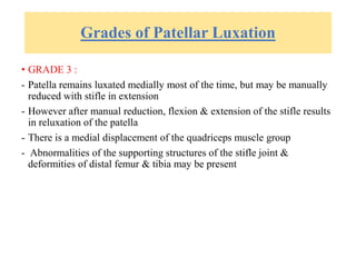 Grades of Patellar Luxation
• GRADE 3 :
- Patella remains luxated medially most of the time, but may be manually
reduced with stifle in extension
- However after manual reduction, flexion & extension of the stifle results
in reluxation of the patella
- There is a medial displacement of the quadriceps muscle group
- Abnormalities of the supporting structures of the stifle joint &
deformities of distal femur & tibia may be present
 