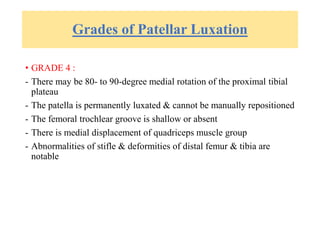 Grades of Patellar Luxation
• GRADE 4 :
- There may be 80- to 90-degree medial rotation of the proximal tibial
plateau
- The patella is permanently luxated & cannot be manually repositioned
- The femoral trochlear groove is shallow or absent
- There is medial displacement of quadriceps muscle group
- Abnormalities of stifle & deformities of distal femur & tibia are
notable
 