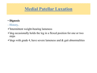 Medial Patellar Luxation
• Dignosis
- History..
Intermittent weight-bearing lameness
dog occasionally holds the leg in a flexed position for one or two
steps
dogs with grade 4, have severe lameness and & gait abnormalities
 