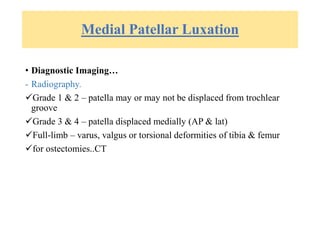 Medial Patellar Luxation
• Diagnostic Imaging…
- Radiography.
Grade 1 & 2 – patella may or may not be displaced from trochlear
groove
Grade 3 & 4 – patella displaced medially (AP & lat)
Full-limb – varus, valgus or torsional deformities of tibia & femur
for ostectomies..CT
 