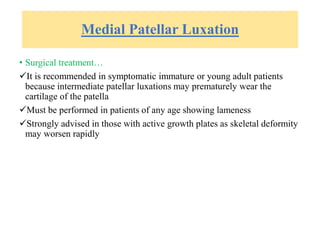Medial Patellar Luxation
• Surgical treatment…
It is recommended in symptomatic immature or young adult patients
because intermediate patellar luxations may prematurely wear the
cartilage of the patella
Must be performed in patients of any age showing lameness
Strongly advised in those with active growth plates as skeletal deformity
may worsen rapidly
 