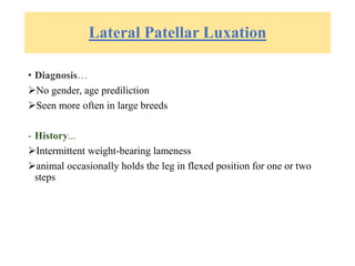 Lateral Patellar Luxation
• Diagnosis…
No gender, age prediliction
Seen more often in large breeds
- History...
Intermittent weight-bearing lameness
animal occasionally holds the leg in flexed position for one or two
steps
 