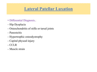 Lateral Patellar Luxation
• Differential Diagnosis..
- Hip Dysplacia
- Osteochondritis of stifle or tarsal joints
- Panosteitis
- Hypertrophic osteodystrophy
- Capital physeal injury
- CCLR
- Muscle strain
 
