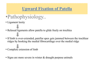 Upward Fixation of Patella
•Pathophysiology..
• Ligament laxity
• Relaxed ligaments allow patella to glide freely on trochlea
• If limb is over-extended, patellar apex gets jammed between the trochlear
ridges by hooking the medial fibrocartilage over the medial ridge
• Complete extension of limb
• Signs are more severe in winter & draught purpose animals
 
