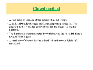 Closed method
• A stab incision is made at the medial tibial tuberosity
• A no.12 BP blade/absecess knife/curved probe pointed knife is
directed in the V-shaped groove between the middle & medial
ligaments
• The ligamentis then transected by withdrawing the knife/BP handle
towards the surgeon
• A small qty of tincture iodine is instilled in the wound; it is left
unsutured
 