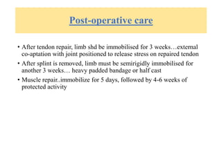 Post-operative care
• After tendon repair, limb shd be immobilised for 3 weeks…external
co-aptation with joint positioned to release stress on repaired tendon
• After splint is removed, limb must be semirigidly immobilised for
another 3 weeks… heavy padded bandage or half cast
• Muscle repair..immobilize for 5 days, followed by 4-6 weeks of
protected activity
 