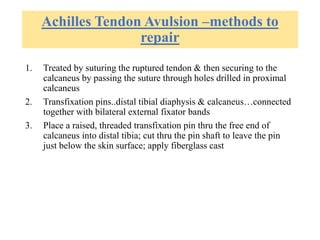 Achilles Tendon Avulsion –methods to
repair
1. Treated by suturing the ruptured tendon & then securing to the
calcaneus by passing the suture through holes drilled in proximal
calcaneus
2. Transfixation pins..distal tibial diaphysis & calcaneus…connected
together with bilateral external fixator bands
3. Place a raised, threaded transfixation pin thru the free end of
calcaneus into distal tibia; cut thru the pin shaft to leave the pin
just below the skin surface; apply fiberglass cast
 
