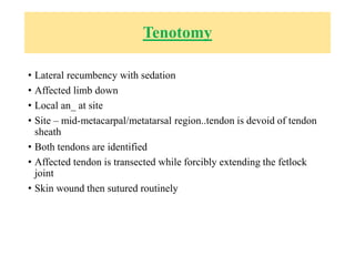 Tenotomy
• Lateral recumbency with sedation
• Affected limb down
• Local an_ at site
• Site – mid-metacarpal/metatarsal region..tendon is devoid of tendon
sheath
• Both tendons are identified
• Affected tendon is transected while forcibly extending the fetlock
joint
• Skin wound then sutured routinely
 