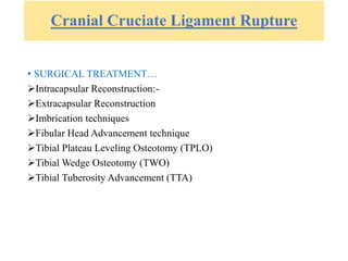 Cranial Cruciate Ligament Rupture
• SURGICAL TREATMENT…
Intracapsular Reconstruction:-
Extracapsular Reconstruction
Imbrication techniques
Fibular Head Advancement technique
Tibial Plateau Leveling Osteotomy (TPLO)
Tibial Wedge Osteotomy (TWO)
Tibial Tuberosity Advancement (TTA)
 
