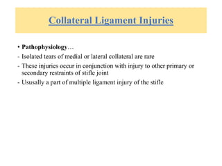 Collateral Ligament Injuries
• Pathophysiology…
- Isolated tears of medial or lateral collateral are rare
- These injuries occur in conjunction with injury to other primary or
secondary restraints of stifle joint
- Ususally a part of multiple ligament injury of the stifle
 