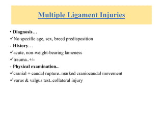 Multiple Ligament Injuries
• Diagnosis…
No specific age, sex, breed predisposition
- History…
acute, non-weight-bearing lameness
trauma..+/-
- Physical examination..
cranial + caudal rupture..marked craniocaudal movement
varus & valgus test..collateral injury
 