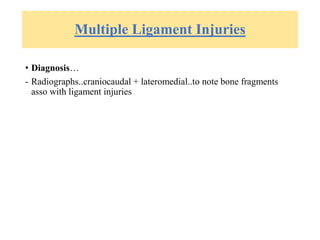 Multiple Ligament Injuries
• Diagnosis…
- Radiographs..craniocaudal + lateromedial..to note bone fragments
asso with ligament injuries
 