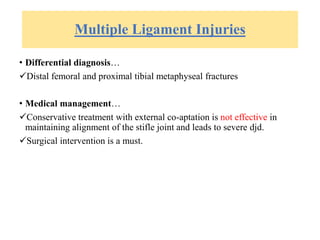 Multiple Ligament Injuries
• Differential diagnosis…
Distal femoral and proximal tibial metaphyseal fractures
• Medical management…
Conservative treatment with external co-aptation is not effective in
maintaining alignment of the stifle joint and leads to severe djd.
Surgical intervention is a must.
 