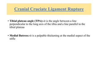 Cranial Cruciate Ligament Rupture
• Tibial plateau angle (TPA):-it is the angle between a line
perpendicular to the long axis of the tibia and a line parallel to the
tibial plateau
• Medial Butress:-it is a palpable thickening at the medial aspect of the
stifle
 