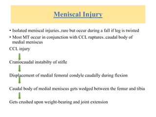 Meniscal Injury
• Isolated meniscal injuries..rare but occur during a fall if leg is twisted
• Most MT occur in conjunction with CCL ruptures..caudal body of
medial meniscus
CCL injury
Craniocaudal instabilty of stifle
Displacement of medial femoral condyle caudally during flexion
Caudal body of medial meniscus gets wedged between the femur and tibia
Gets crushed upon weight-bearing and joint extension
 