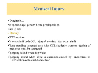 Meniscal Injury
• Diagnosis…
No specific age, gender, breed predisposition
Rare in cats
- History..
CCL rupture
more pain if both CCL injury & meniscal tear occur simlt
long-standing lameness asso with CCL suddenly worsens -tearing of
meniscus must be suspected
popping sound when dog walks
popping sound when stifle is examined-caused by movement of
‘free’ section of bucket-handle tear
 