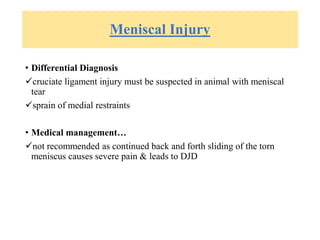 Meniscal Injury
• Differential Diagnosis
cruciate ligament injury must be suspected in animal with meniscal
tear
sprain of medial restraints
• Medical management…
not recommended as continued back and forth sliding of the torn
meniscus causes severe pain & leads to DJD
 