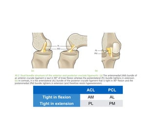 Ligament injury to knee: ACL | PPTX