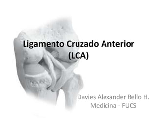 Ligamento Cruzado Anterior
          (LCA)



            Davies Alexander Bello H.
                Medicina - FUCS
 