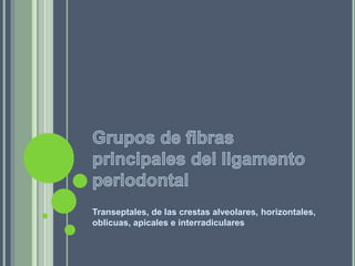 Transeptales, de las crestas alveolares, horizontales,
oblicuas, apicales e interradiculares
 