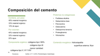 Composición del cemento
Contiene, por peso
65% material inorgánico
23% material orgánico
12% de agua
Por volumen
45% material inorgánico
33% material orgánico
22% agua
Componente orgánico: colágena tipo I 90%
colágena tipo III
menor cantidad:
colágena tipo V, VI Y XIV
Proteínas no colagenosas
• Fosfatasa alcalina
• Sialoproteina ósea
• Fibronectina
• Osteocalcina
• Osteoponina tenacina
• Proteoglicanos
• Vitronectina
Contenido inorgánico: hidroxiapatita
superficie externa: flúor
18
Periodoncia Casillas, A. P. V. (2016). Periodontología e Implantología.
 