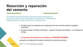Resorción y reparación
del cemento
El cemento puede presentar pequeñas áreas localizadas de
resorción externa como respuesta a la presión (ej. Tratamientos
ortodónticos) las cuales se asocian a microtraumas
 El daño puede ser reparado (con el deposito de nuevo cemento sobre la superficie
resorbida).
 Cemento celular con fibras intrínsecas – ausencia de fibras de Sharpey – no contribuye al
anclaje.
 La resorción del cemento se considera un PROCESO ANORMAL
excepción de reabsorción durante el cambio de la dentición primaria.
Periodoncia
25 Casillas, A. P. V. (2016). Periodontología e Implantología.
 