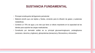 SUSTANCIA FUNDAMENTAL
• Principal constituyente del ligamento periodontal.
• Material amorfo que une tejidos y fluidos, sirviendo para la difusión de gases y sustancias
metabólicas.
• Contiene un 70% de agua y se cree que tiene un efecto importante en la capacidad de los
dientes para soportar las cargas masticatorias.
• Constituido por dermatán sulfato es su principal glucosaminoglucano, proteoglicanos
(versicano, decorina y bigilcano), glicoproteínas (tenascina) y fibronectina y vitronectina.
 