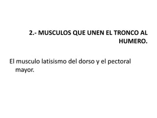 2.- MUSCULOS QUE UNEN EL TRONCO AL
                                 HUMERO.

El musculo latisismo del dorso y el pectoral
   mayor.
 